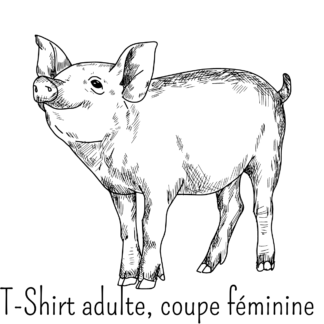 T-Shirt adulte, coupe féminine