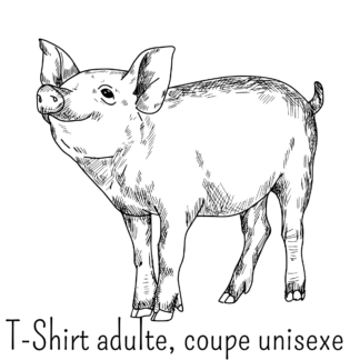 T-shirt adulte, coupe unisexe
