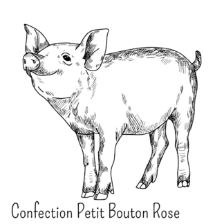 Confection Petit Bouton Rose