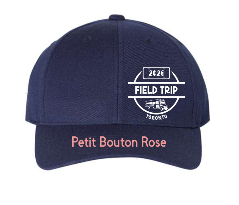 Projet personnalisé - Toronto Field Trip – Image 2